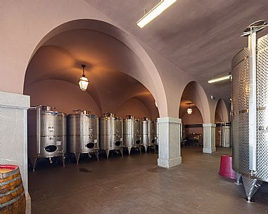 Vidussi wines