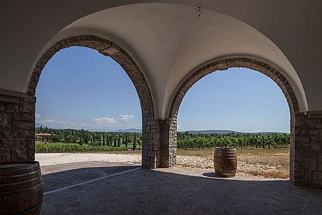 Vidussi wines