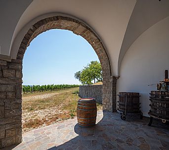 Vidussi wines
