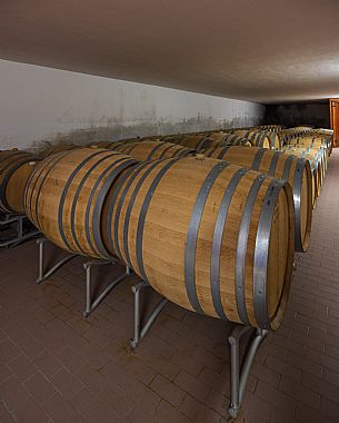 Vidussi wines