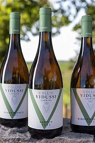 Vidussi wines
