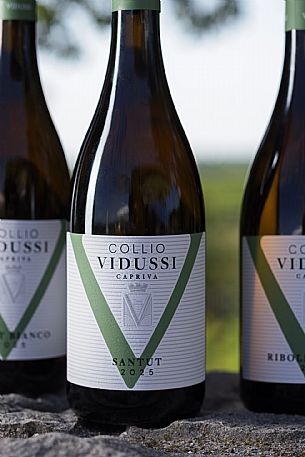 Vidussi wines