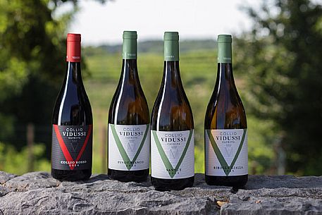 Vidussi wines