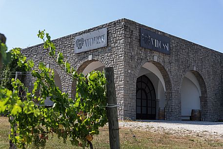 Vidussi wines