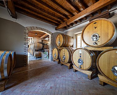 Le Due Torri wines