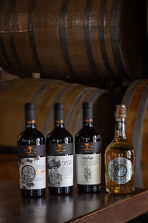 Le Due Torri wines