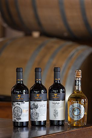 Le Due Torri wines