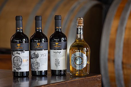 Le Due Torri wines