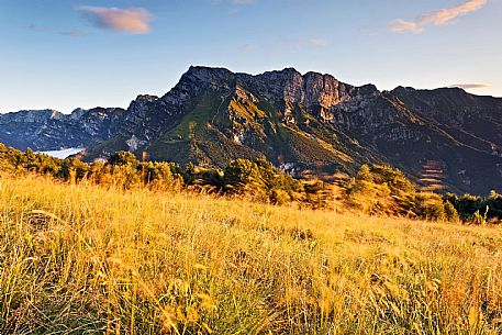 Monte Raut
