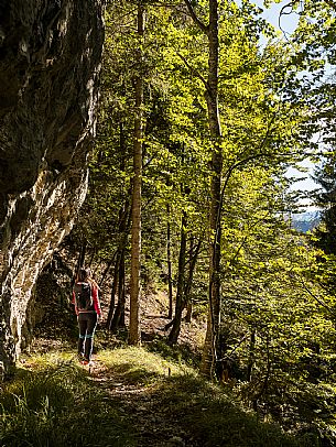 Trekking to Malga Glazzat, from Sella Cereschiatis, Pontebba, Val Aupa