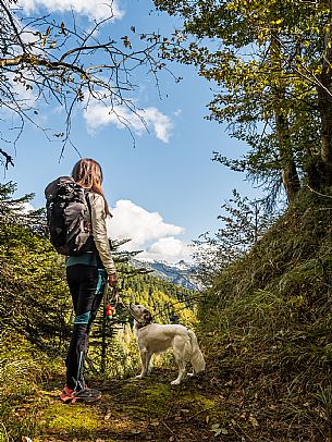 Trekking to Malga Glazzat, from Sella Cereschiatis, Pontebba, Val Aupa