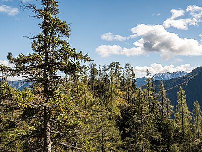 Trekking to Malga Glazzat, from Sella Cereschiatis, Pontebba, Val Aupa