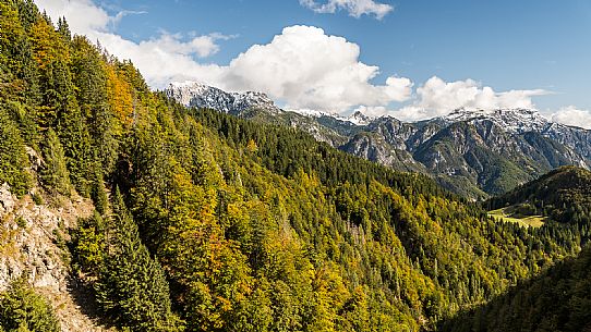 Trekking to Malga Glazzat, from Sella Cereschiatis, Pontebba, Val Aupa