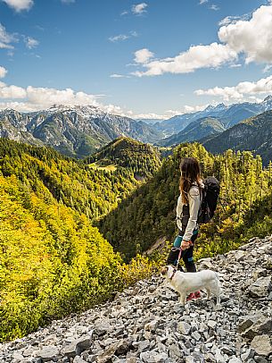 Trekking to Malga Glazzat, from Sella Cereschiatis, Pontebba, Val Aupa