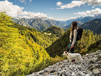 Trekking to Malga Glazzat, from Sella Cereschiatis, Pontebba, Val Aupa