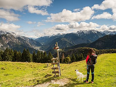 Trekking to Malga Glazzat, from Sella Cereschiatis, Pontebba, Val Aupa