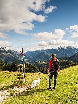 Trekking to Malga Glazzat, from Sella Cereschiatis, Pontebba, Val Aupa