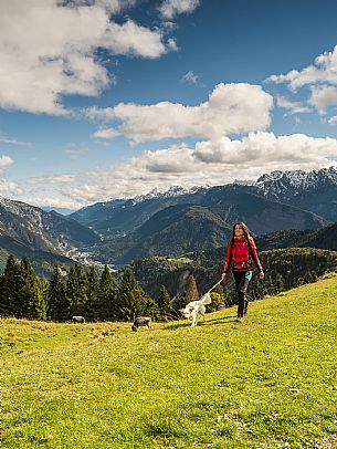 Trekking to Malga Glazzat, from Sella Cereschiatis, Pontebba, Val Aupa