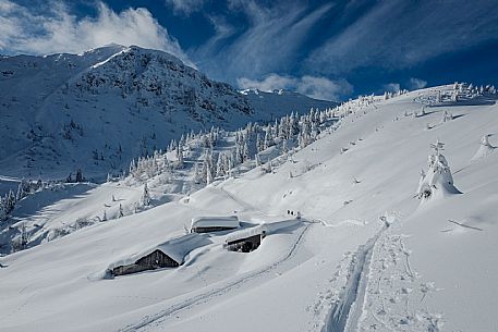 Snowy Landscape