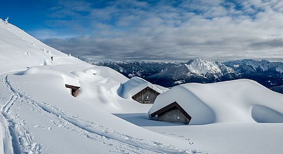Snowy Landscape