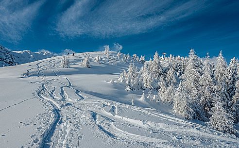 Snowy Landscape