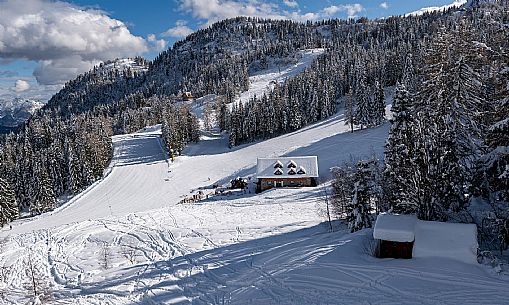 Snowy Landscape