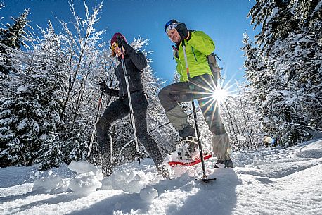 Snowshoeing in Val Saisera