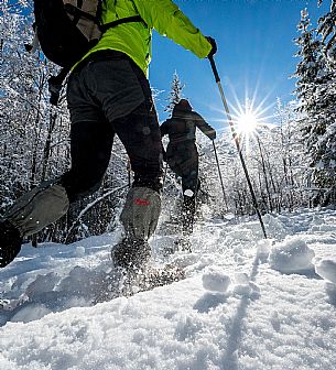 Snowshoeing in Val Saisera