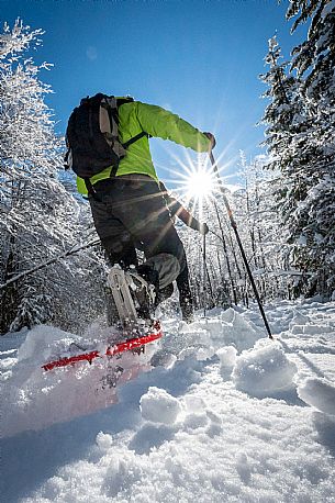 Snowshoeing in Val Saisera