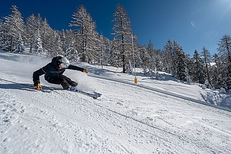 Ski to Forni di Sopra